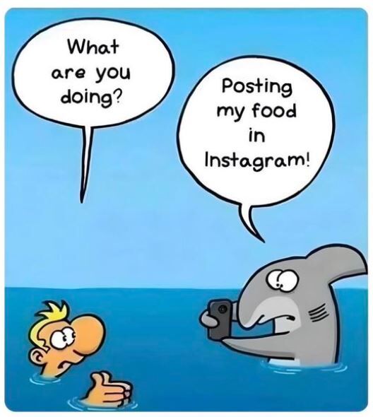 b6bca838-cf52-4df3-b763-1455e38f4345