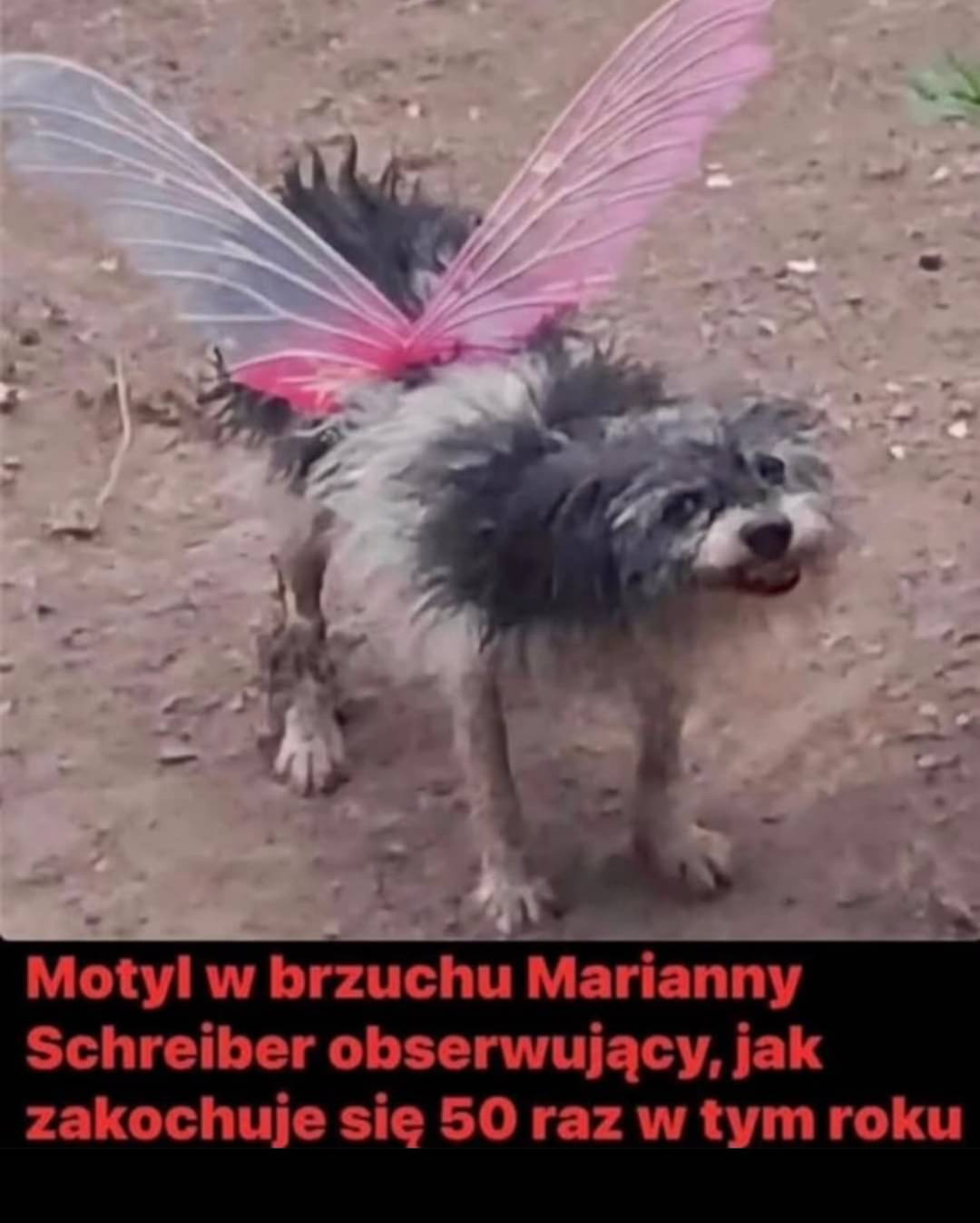 b74bcb23-a7bd-4857-bccc-3d7301bfeaf3