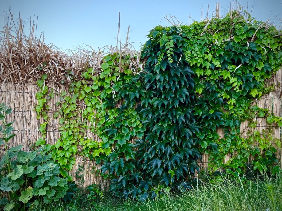 52d52512-4775-4238-90ba-e19cfb887d25