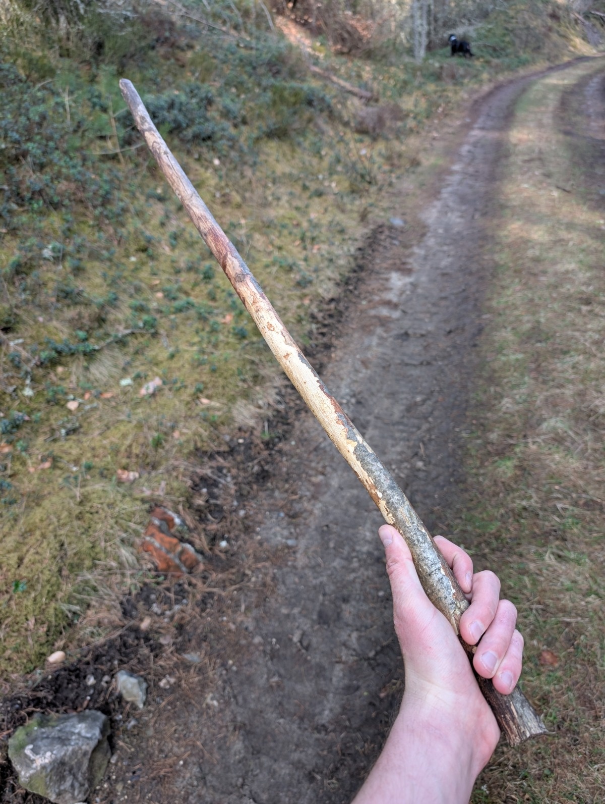 0ce635d5-8370-4413-9c1b-1c1c3343923d