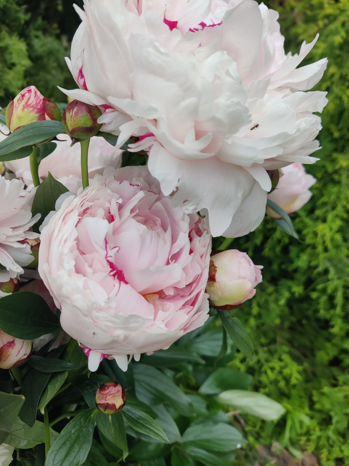 034ae3fb-ce0d-47cf-8682-a30cfdd08acb