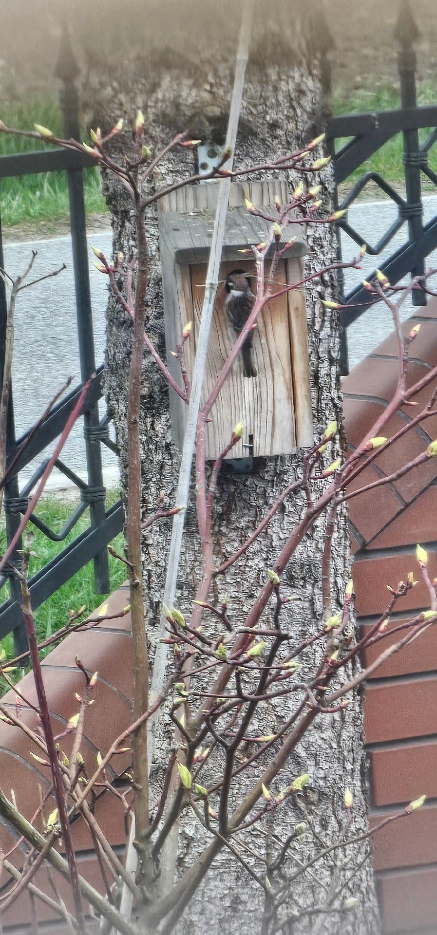 bca8d730-c5d6-4e02-8973-4d9fca66ec7c