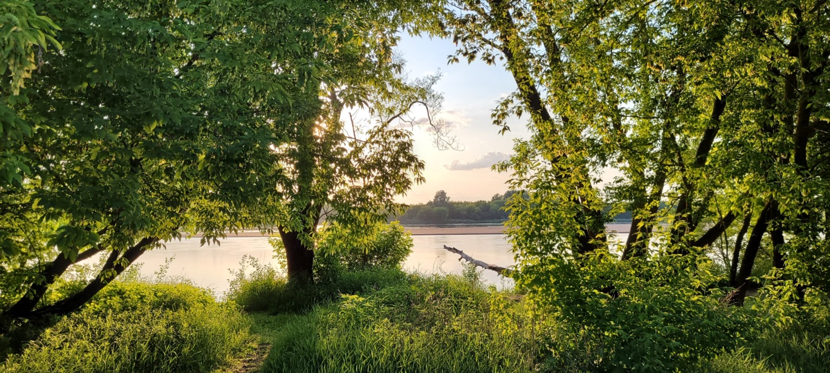 9bcf9bef-ab38-42d3-80e3-929e31849c45