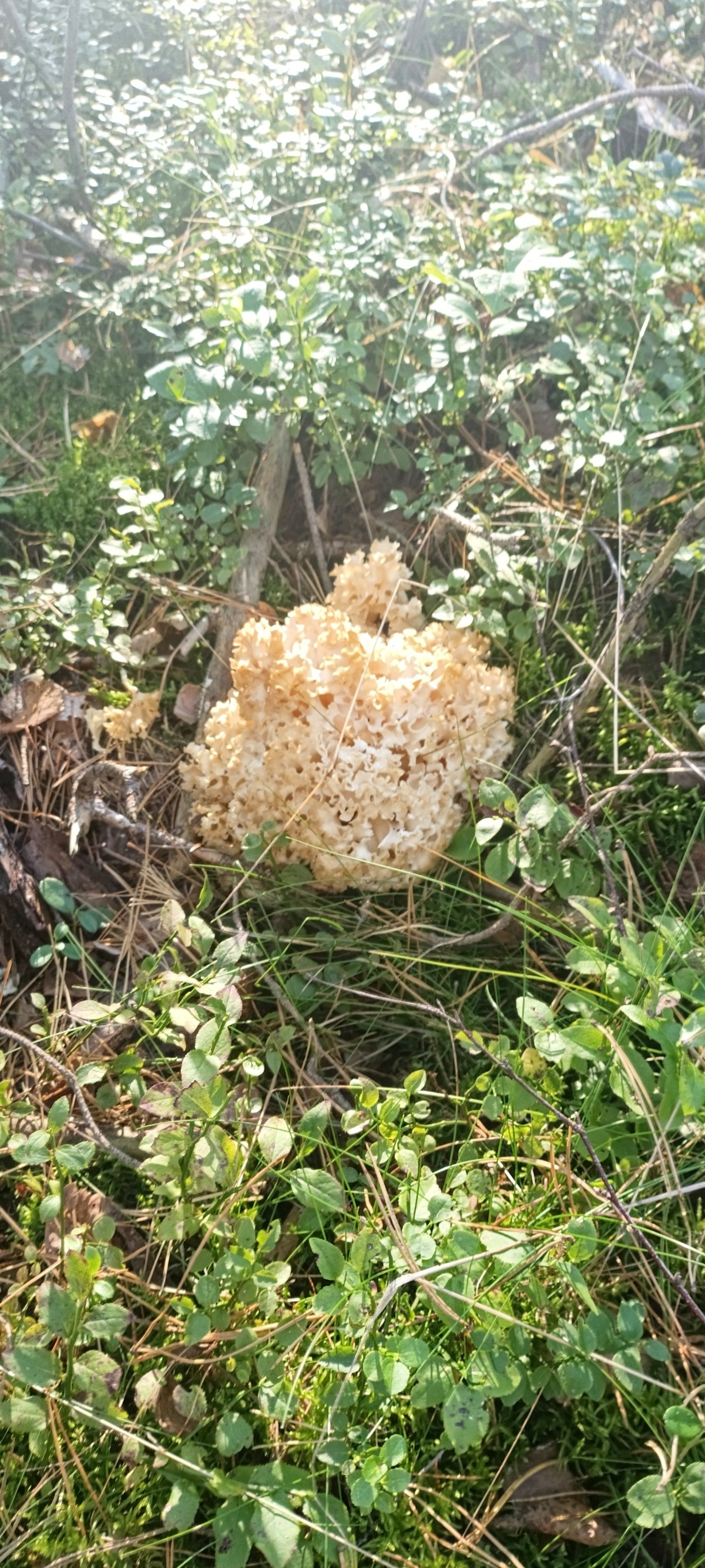 4da1ec1a-6a61-47d7-a1fa-9164f9d6072e