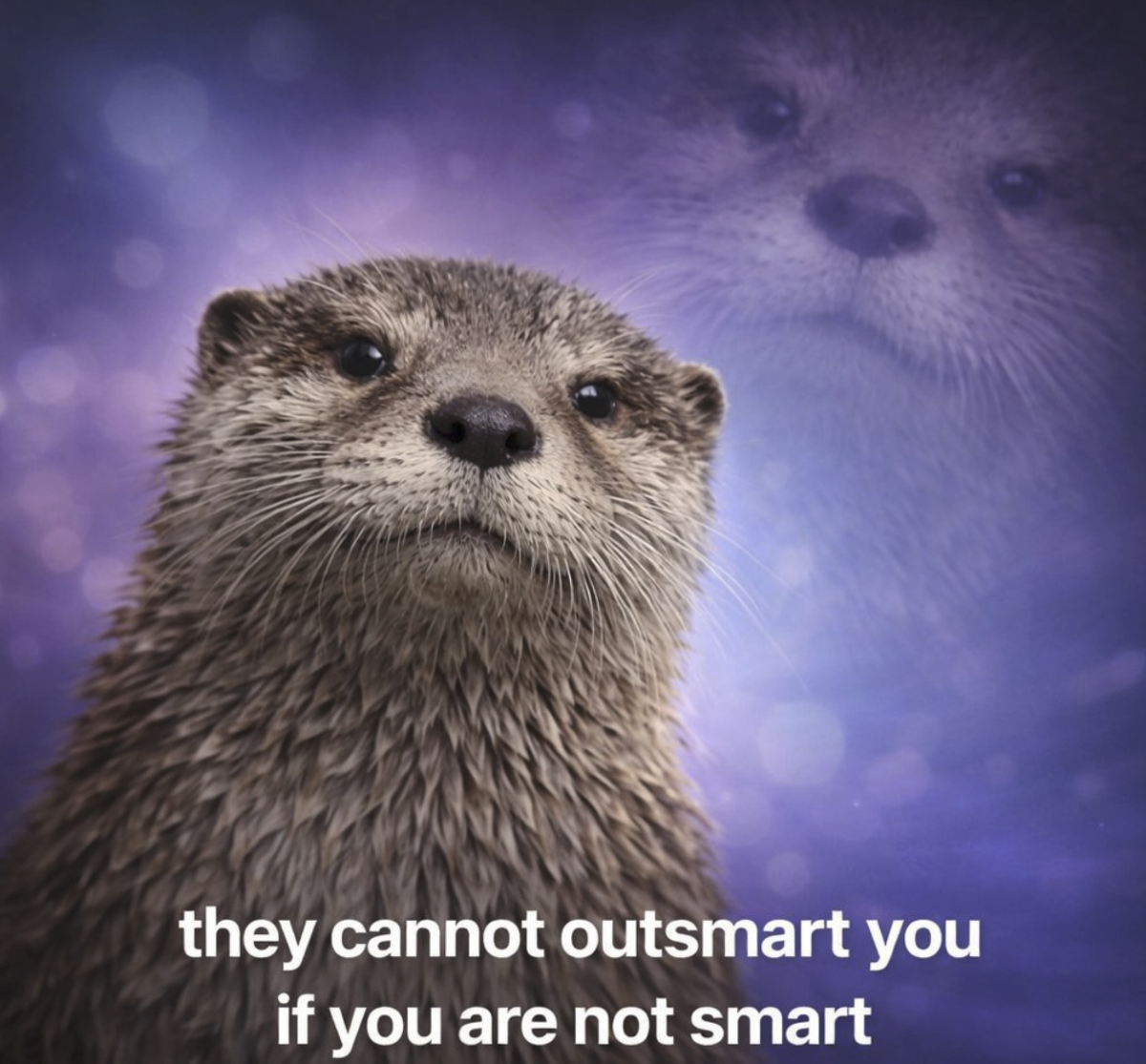 8c279af4-5614-4ae2-8bdc-fac3c97b56f9