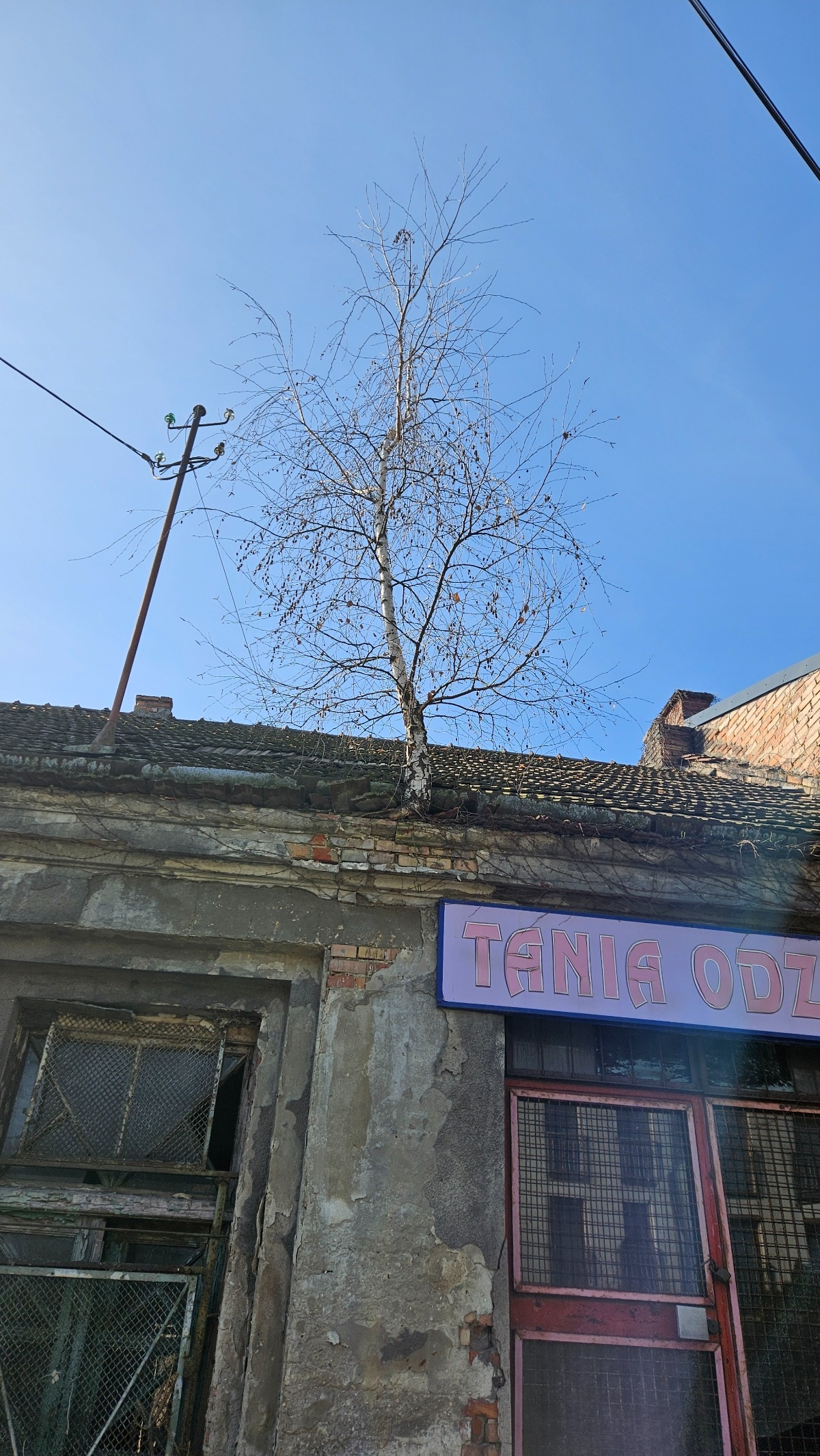 0dba74a7-d2d2-4460-a3ea-706c1745c11a