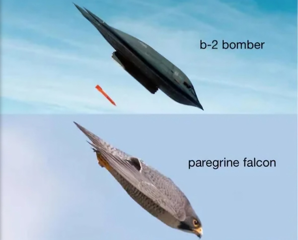 0ed30fc5-9a35-4bbf-8a1c-e0c6c432763d