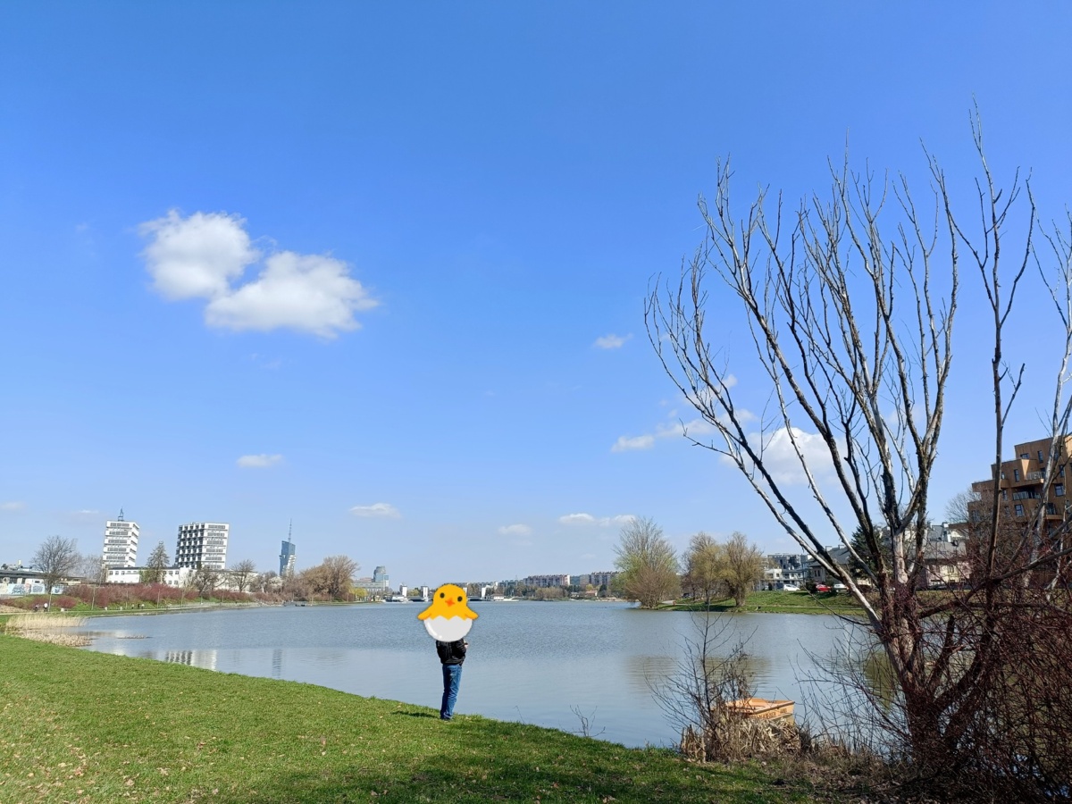 22de3d99-ec3e-47e4-b17c-9c772afda491