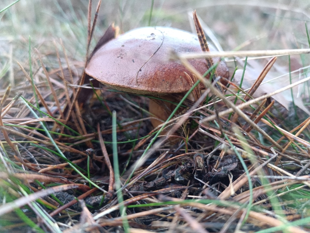 3a8adced-42e1-4c53-9db9-c3da3ce3632e