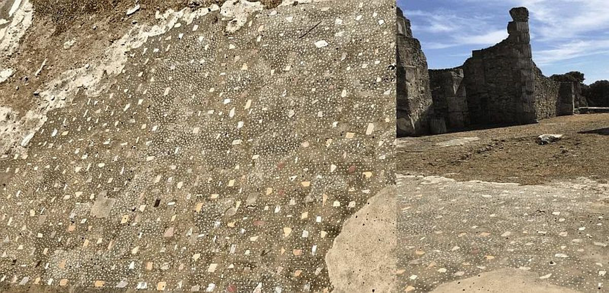 29dc8438-28f7-4a5a-8845-6d18cc08c361