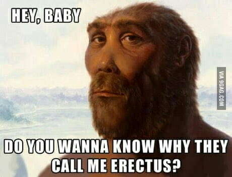 a89b184a-600a-46b4-97e7-fbc162c58692