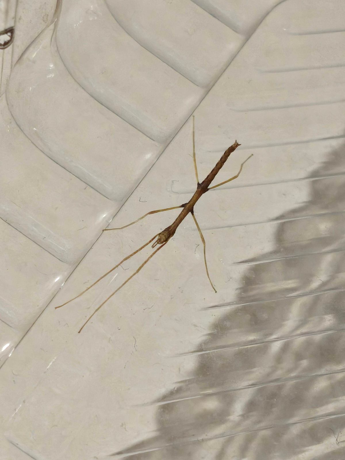 af65ec96-fd11-4524-9934-3c52903d6291