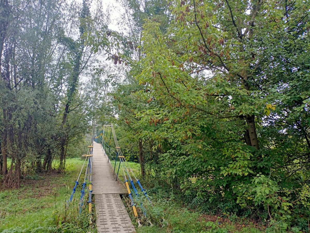 0cc95d9c-8290-4095-b970-6251a94bcb53