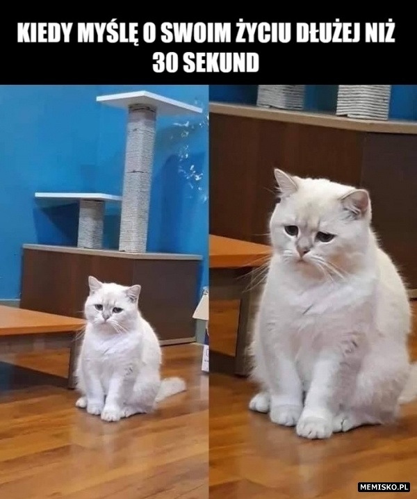 22c912b7-6908-47f2-ad2b-13a8868a26cd