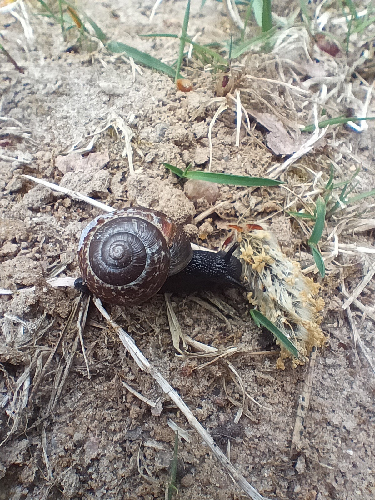 23a04bc6-3f74-4aac-8923-391c6414fa46