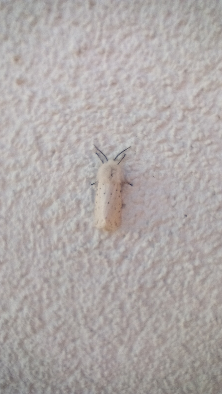 94249c8d-e4e8-476b-911c-0757272f17f9