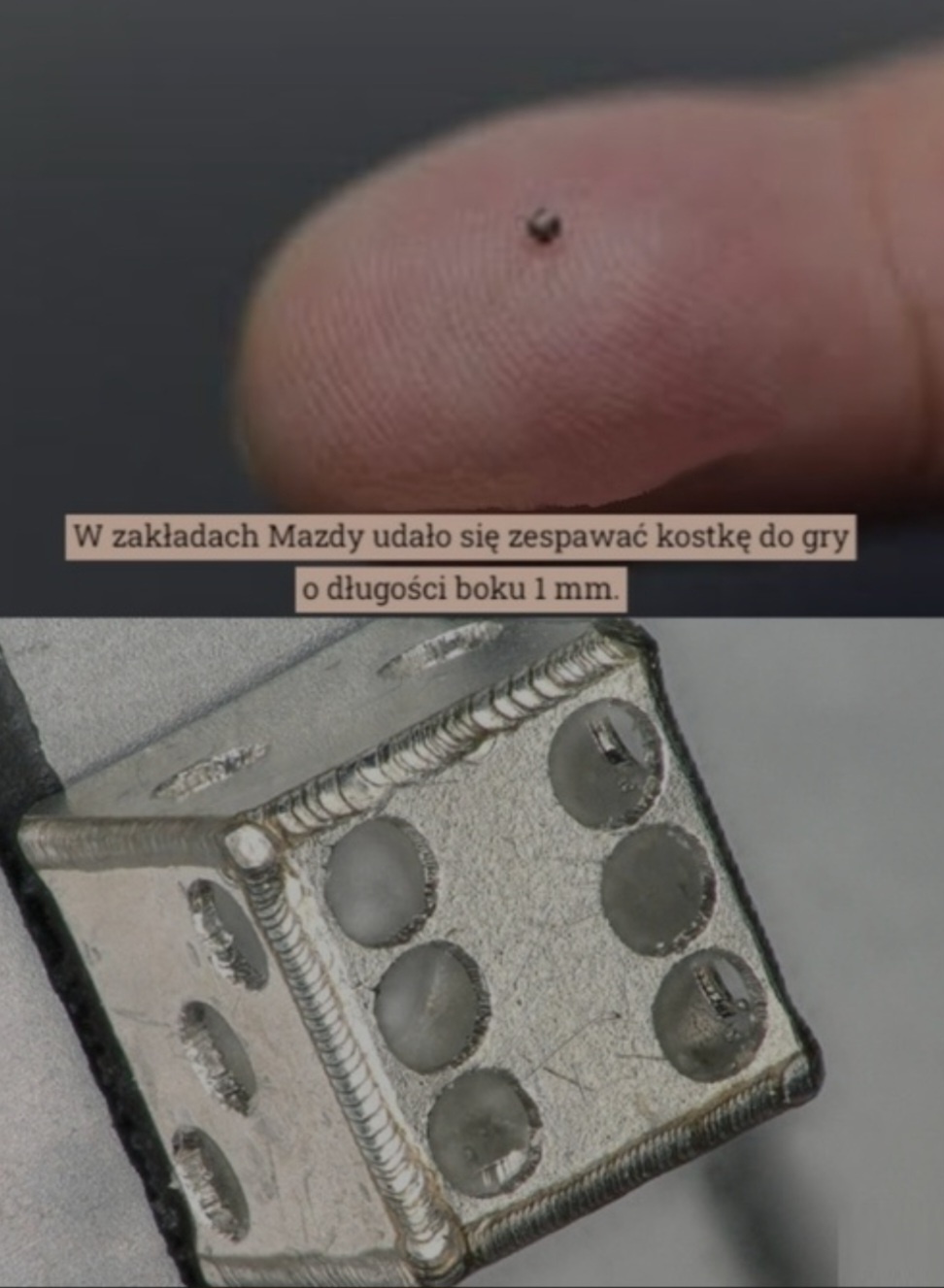 5893802e-6262-4950-bac2-b2272194b79f