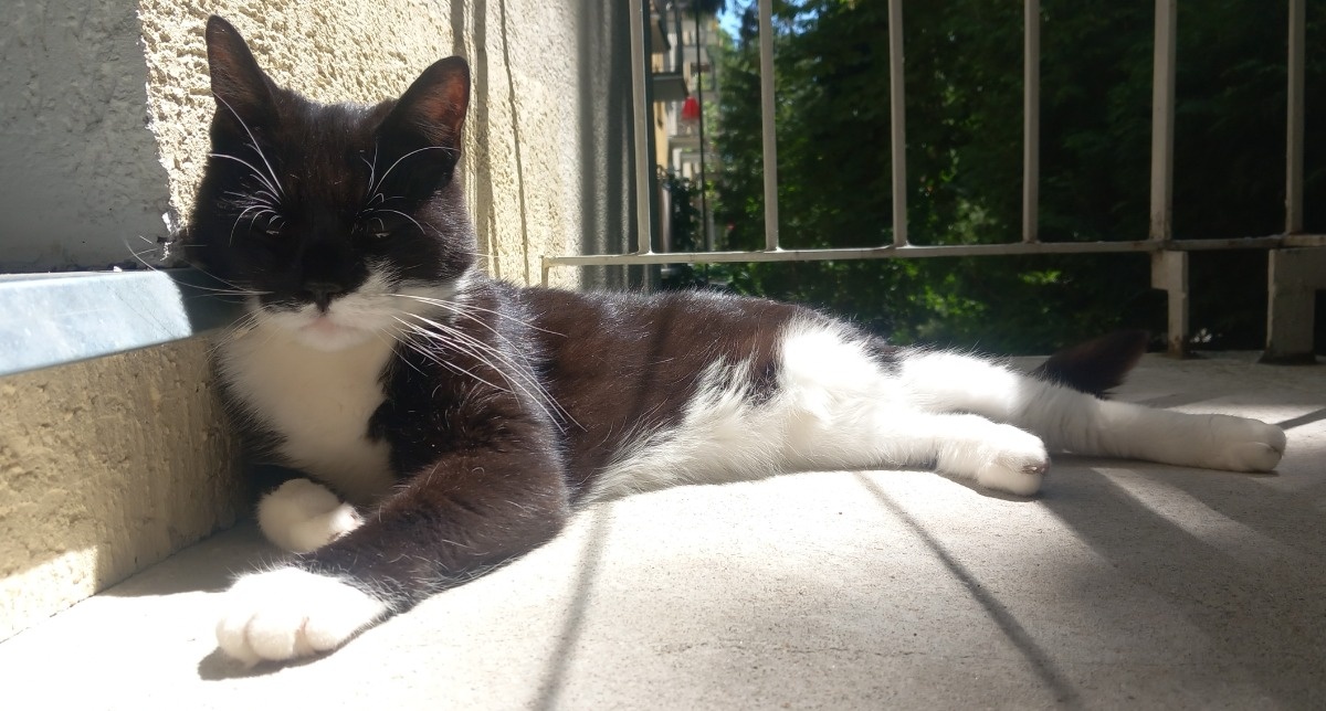 b957e8fd-d576-45aa-9bd0-204dccbb8490