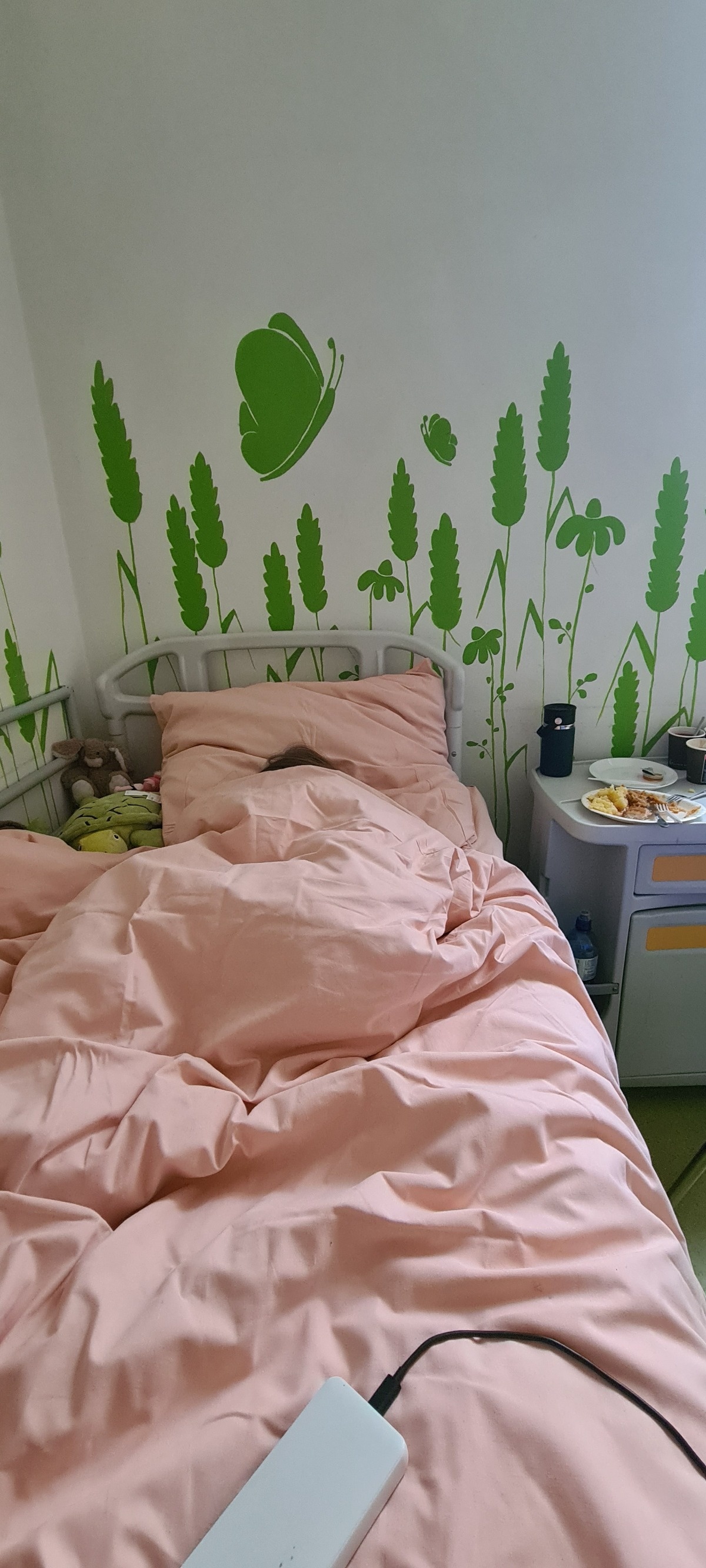 25927c1b-c29b-48bf-a314-da1dcd01e882