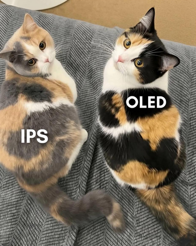 0f78d026-eb18-4068-a853-160d0707c718