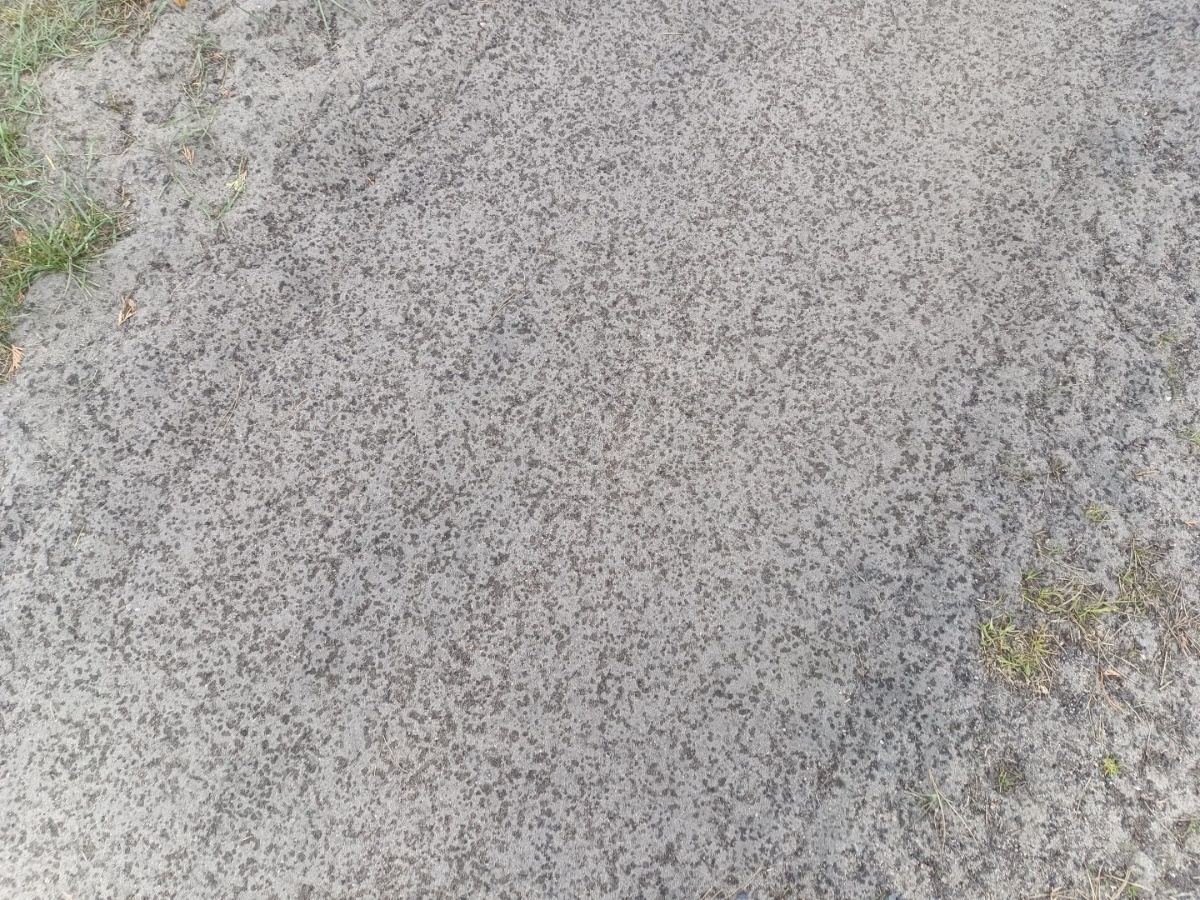 68be8a81-e125-4fa7-a623-34ae4f5385be