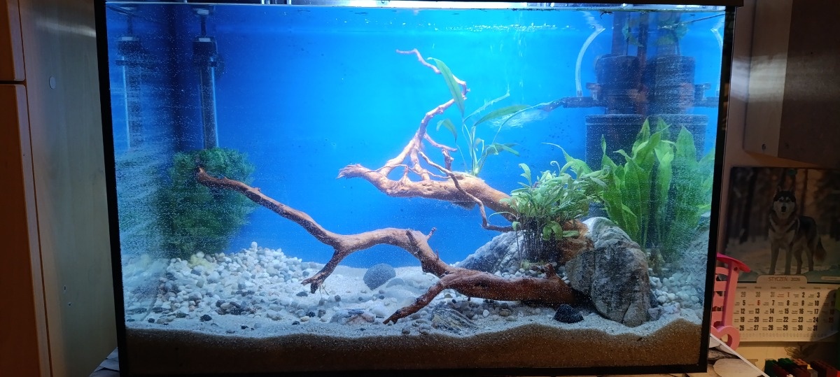 69cba3f3-366f-4790-808e-07ffd2dfd236