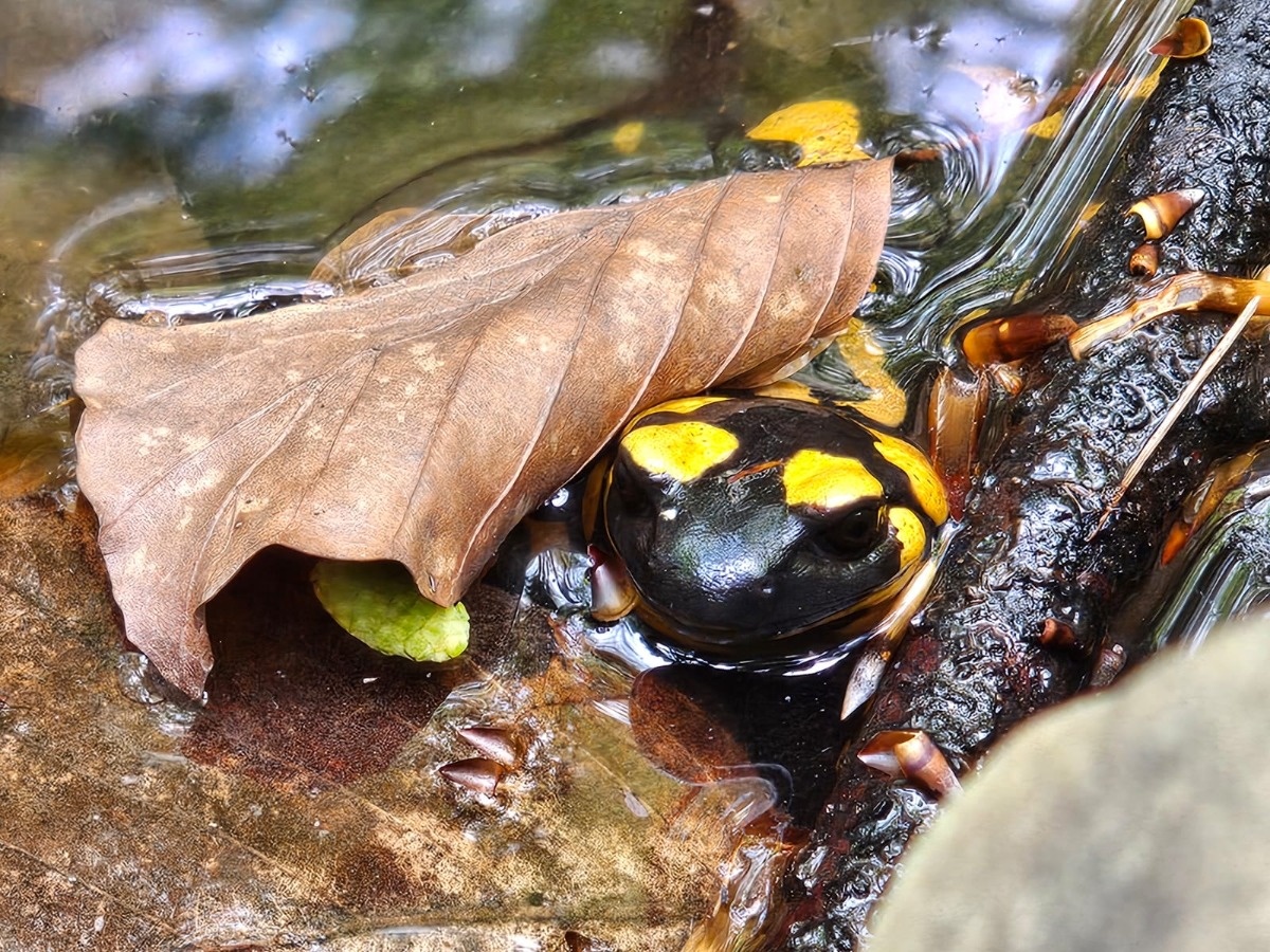 447820ae-0939-4394-bb51-9452321d25d5