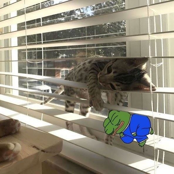 3f90a468-0f22-458d-bec2-59404d131c89