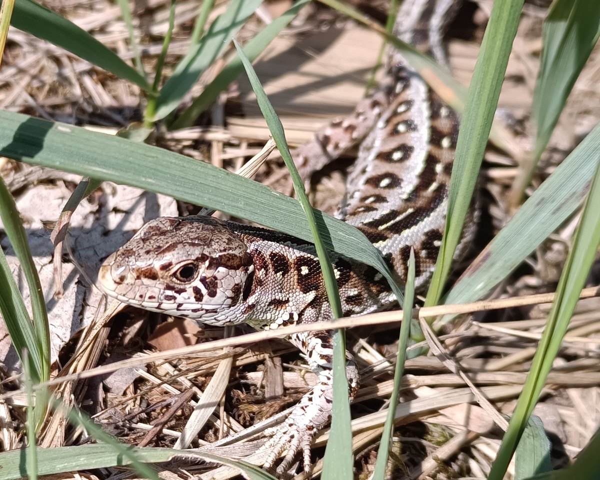 e75340de-f58c-42a7-9981-b54b1b183e7f