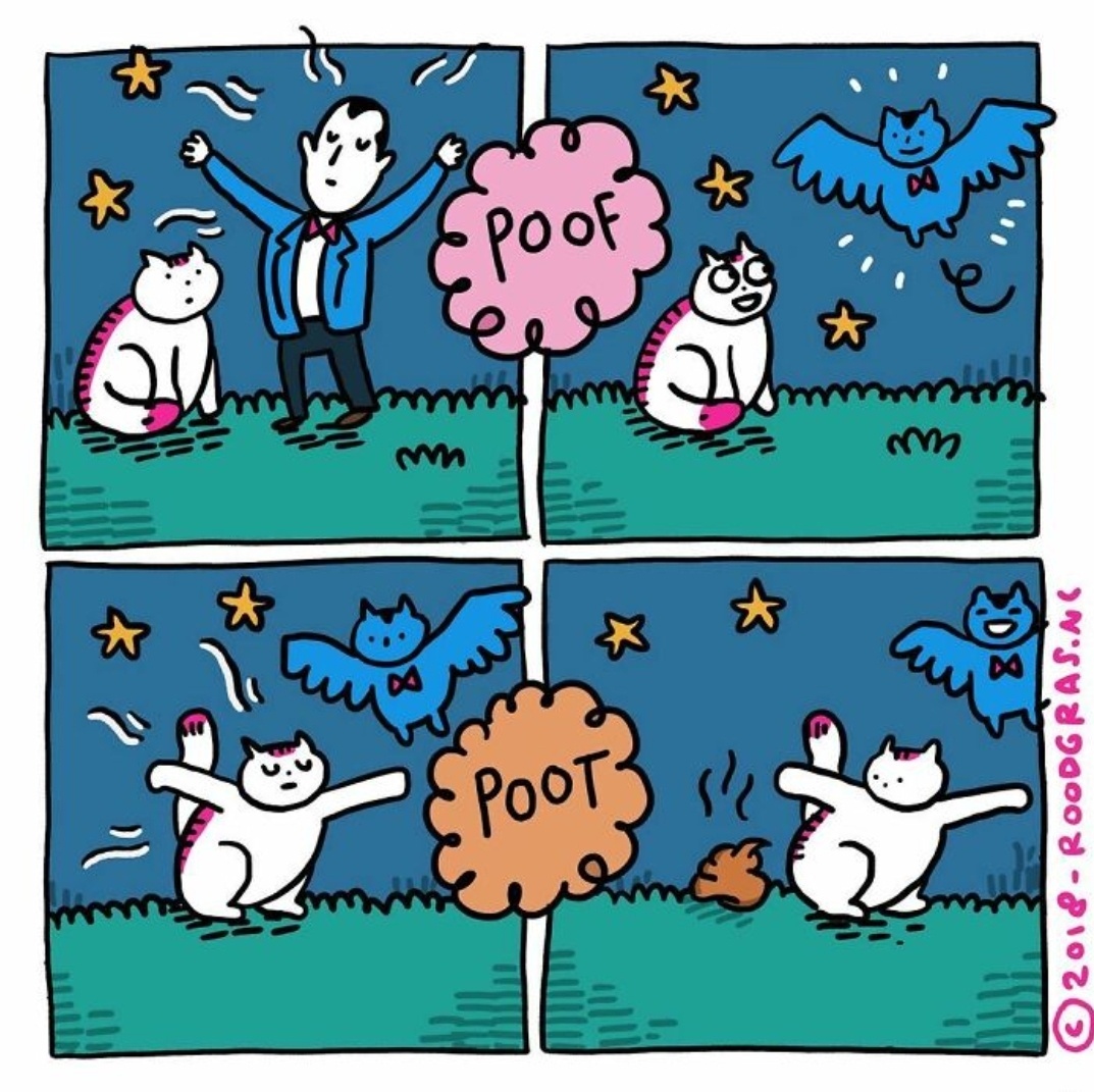 e0d56f21-acf6-4ce7-9aa1-a09846ce471e