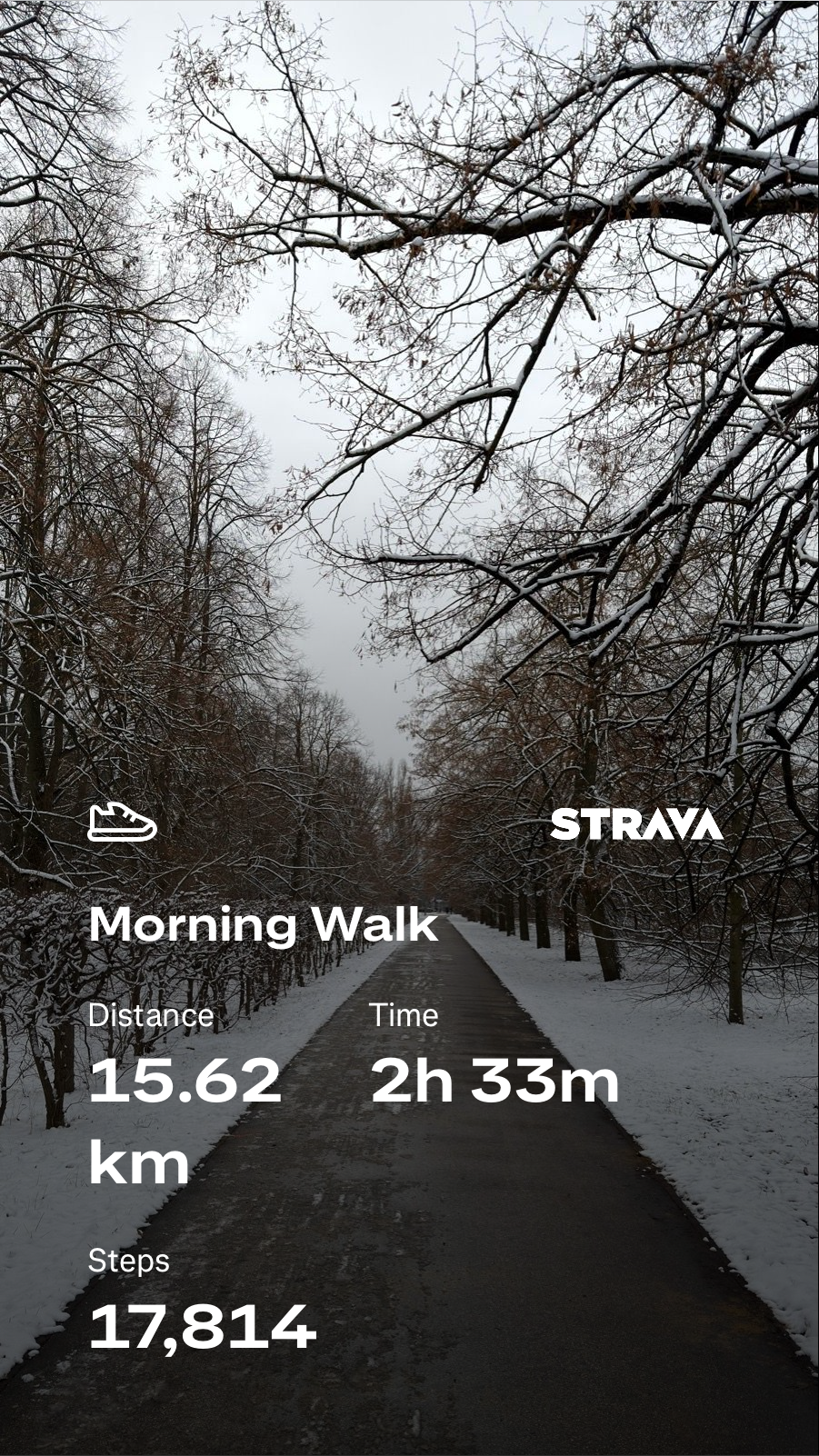 385653ff-d2cf-4ab2-bff7-7357fc77d5de