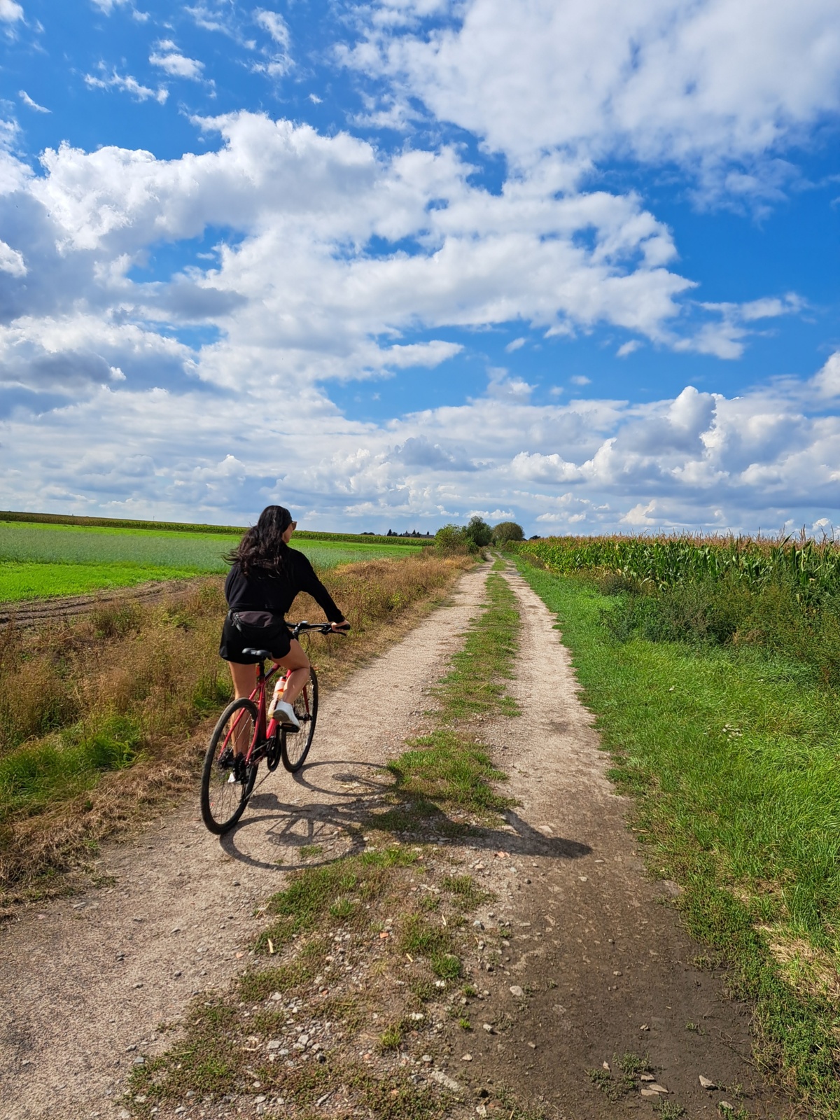 d150a153-d0bd-491a-bcce-25bbe31dc091