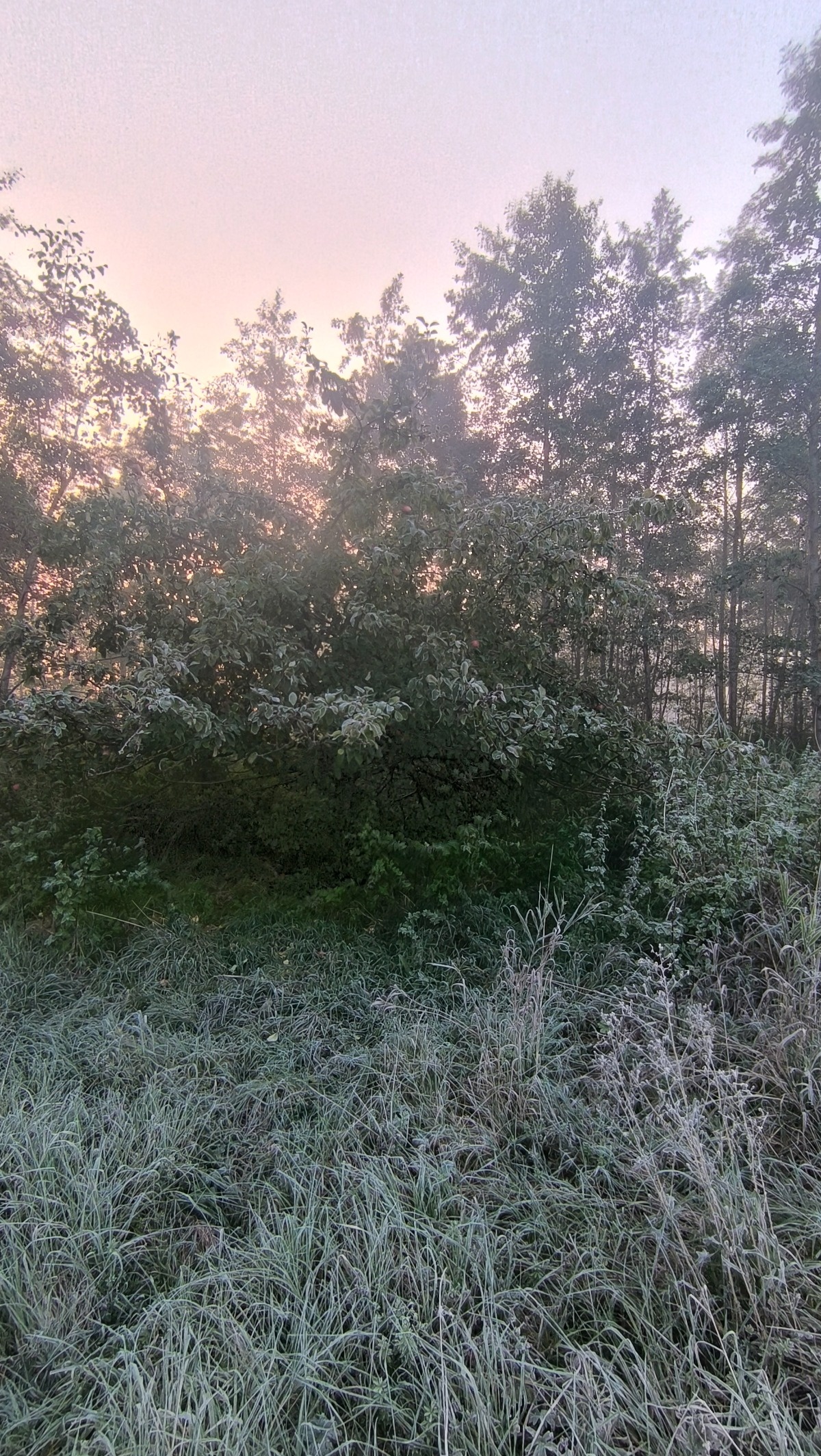 aa4c13af-c86e-400d-b3ee-5e8e875c30db