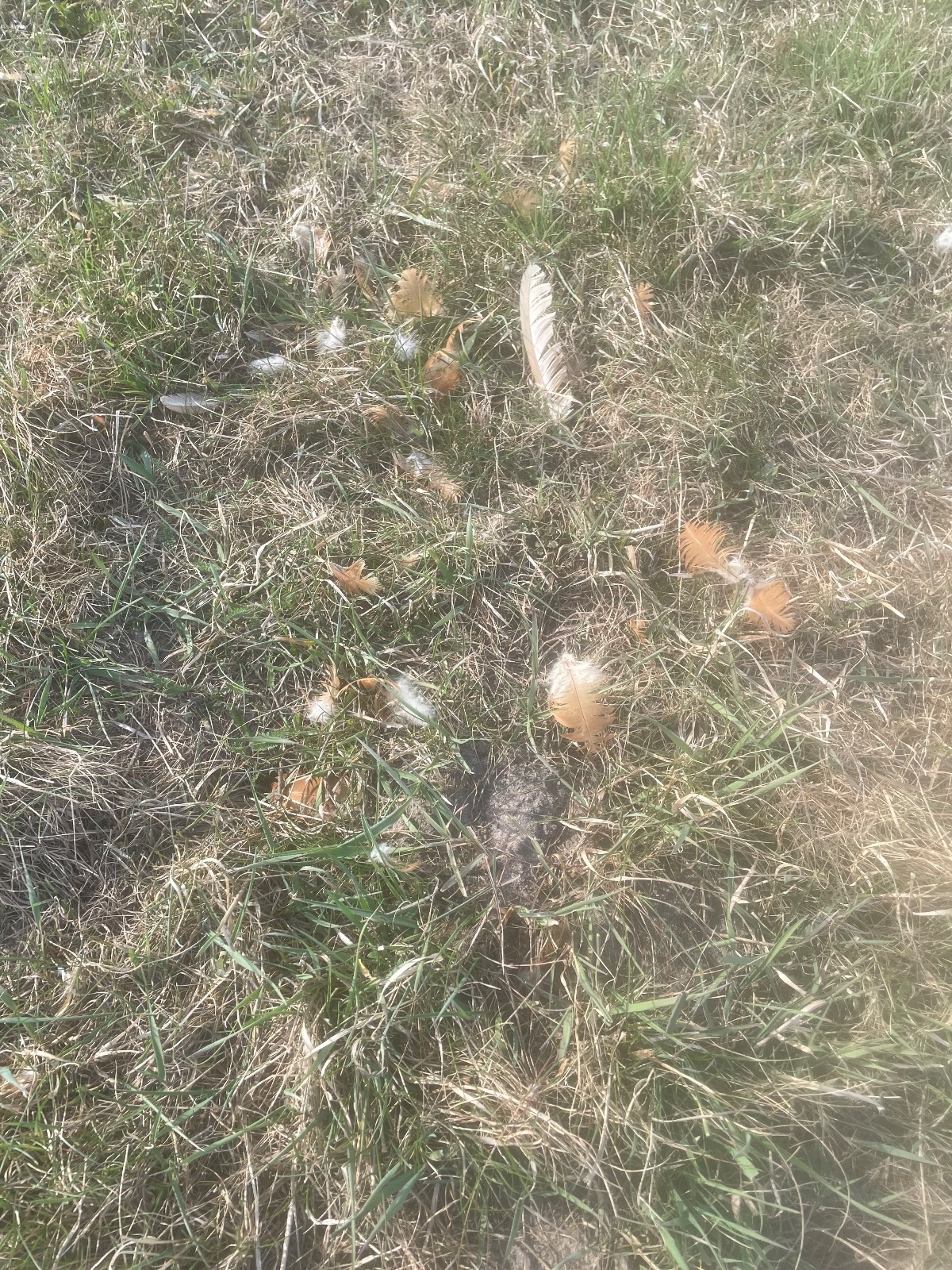 a7202fb9-be86-4a84-b14e-e32af856eac4