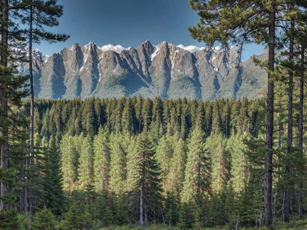 ff8cf3da-fcd0-449f-a9f1-04fe5cdc5afb