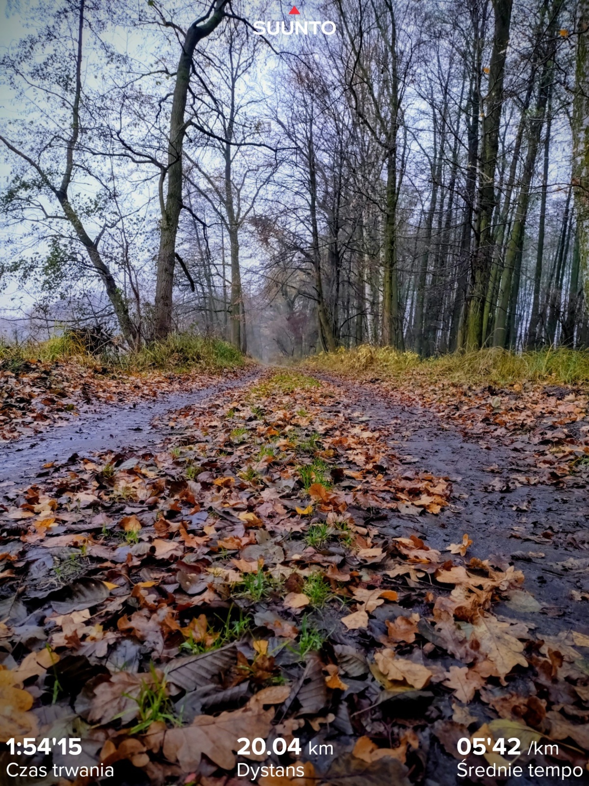 3914c303-edf5-420c-8dbb-ae2efb330f45