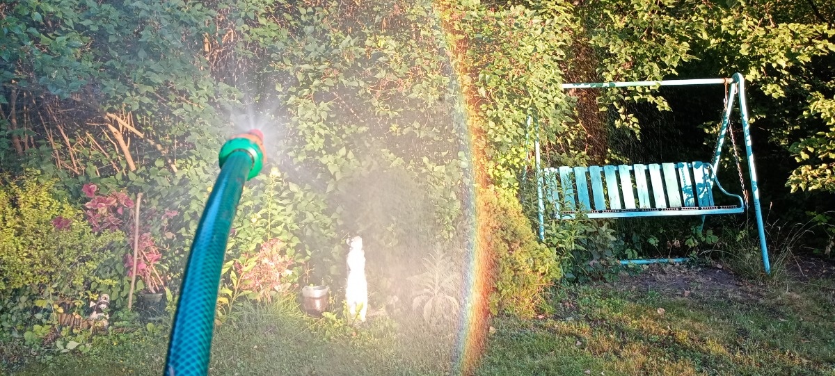 66bfa184-8505-42fb-abfe-83016b916ccd