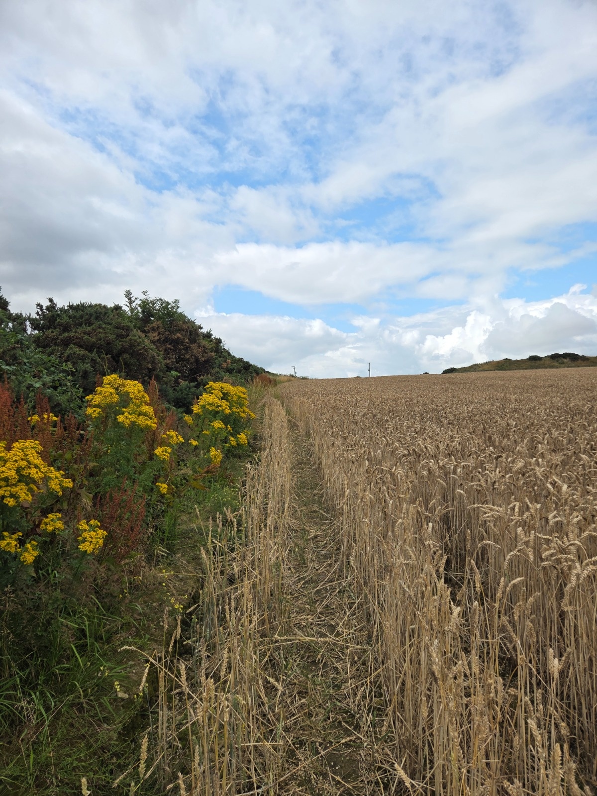 b87e638f-5d12-4e15-921b-eebb13a51ef5