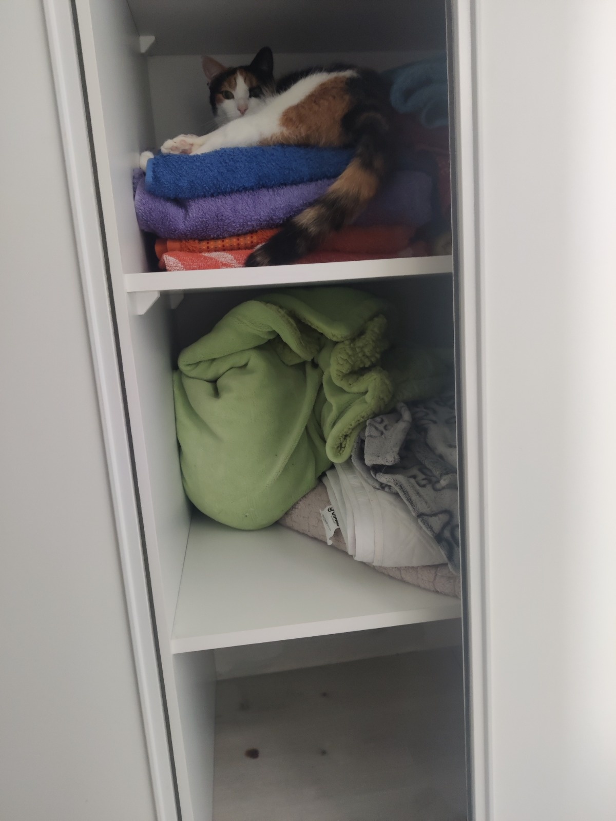 4cd755a6-ed20-4176-98f3-4aa4e02950bb