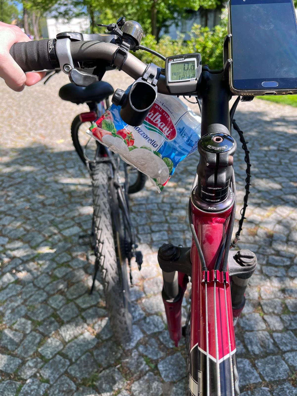 8bb379cf-0387-4670-89bf-a02cc69e2e71