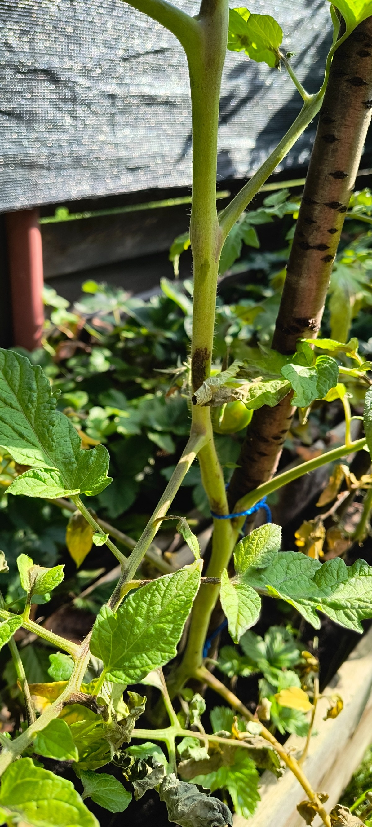 24134bd7-8b97-4f28-8e2a-63af756d0bdb