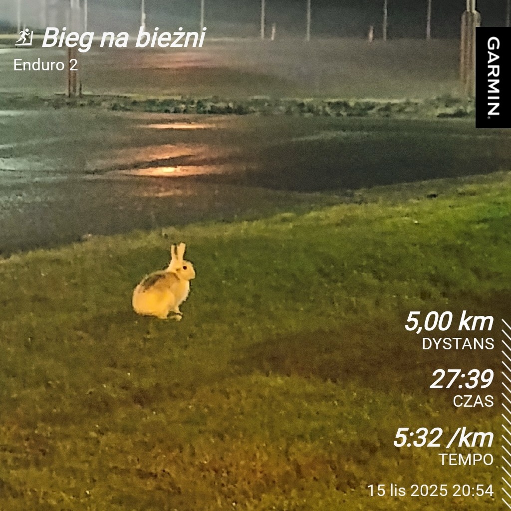 020a7e5f-f887-4a94-8892-c7526c26baa5