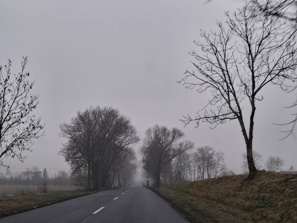 819d9025-c7dd-4799-84ce-fe25895d5704