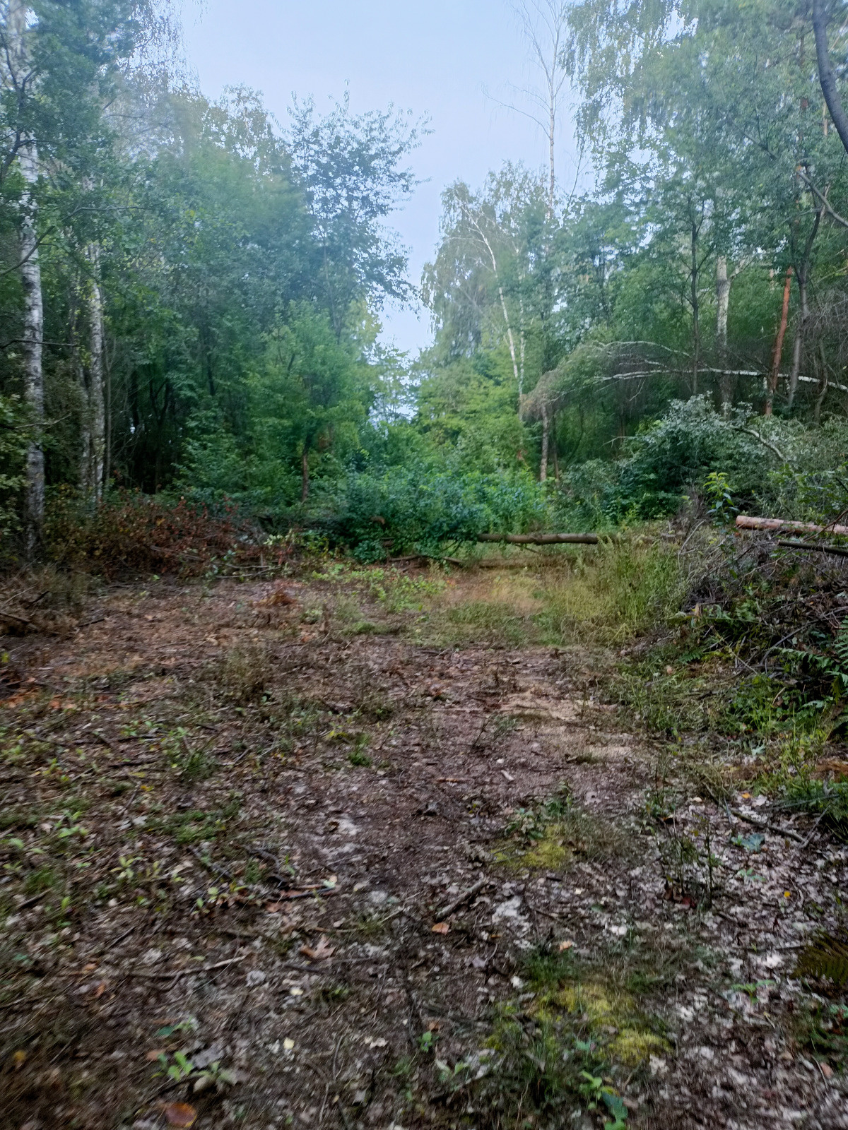 de2bad89-fda7-481e-b033-d8afb50b94b4