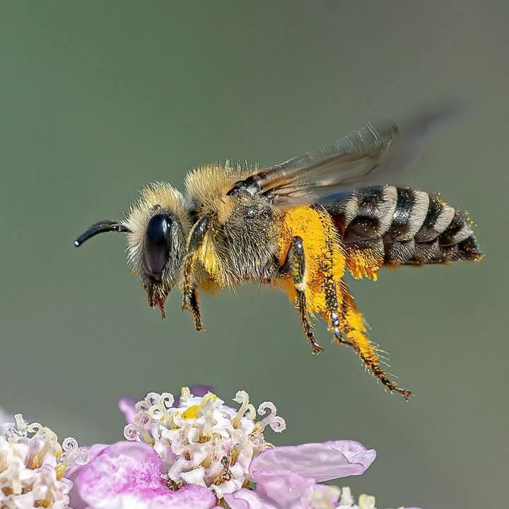 5a9d13b0-23c6-4f48-883e-7e78dd2dffde