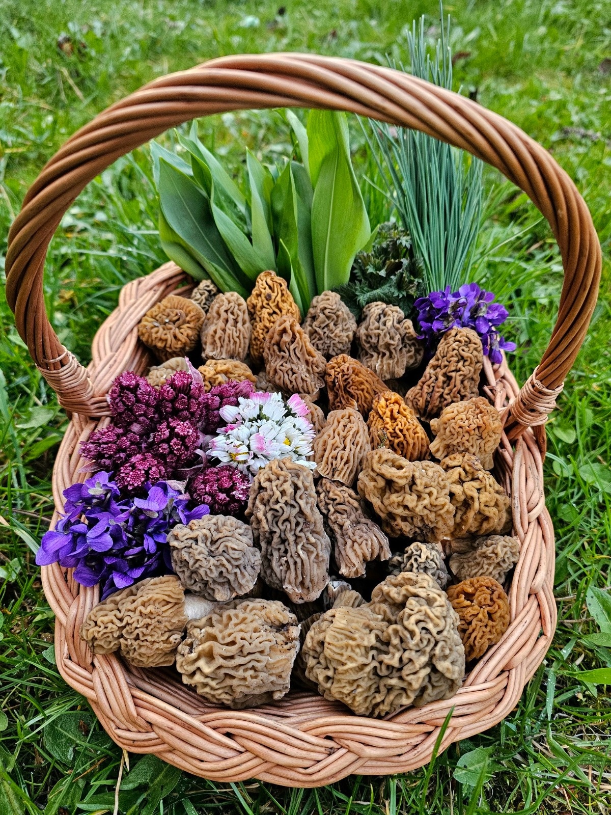 2cbc5cb3-2dd8-480d-a93d-1d99a337ce08