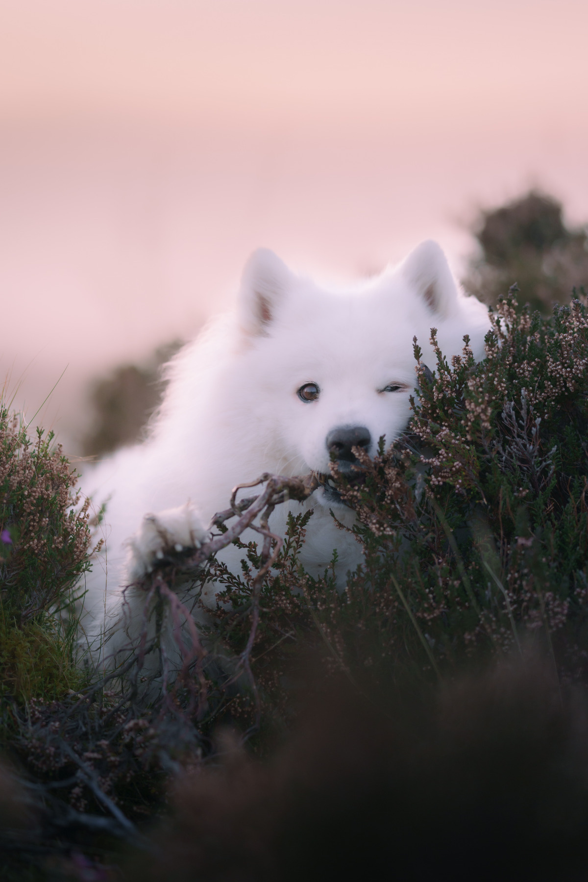 aa0eb5e7-2197-4c4d-8c6e-f77b3ba7af65