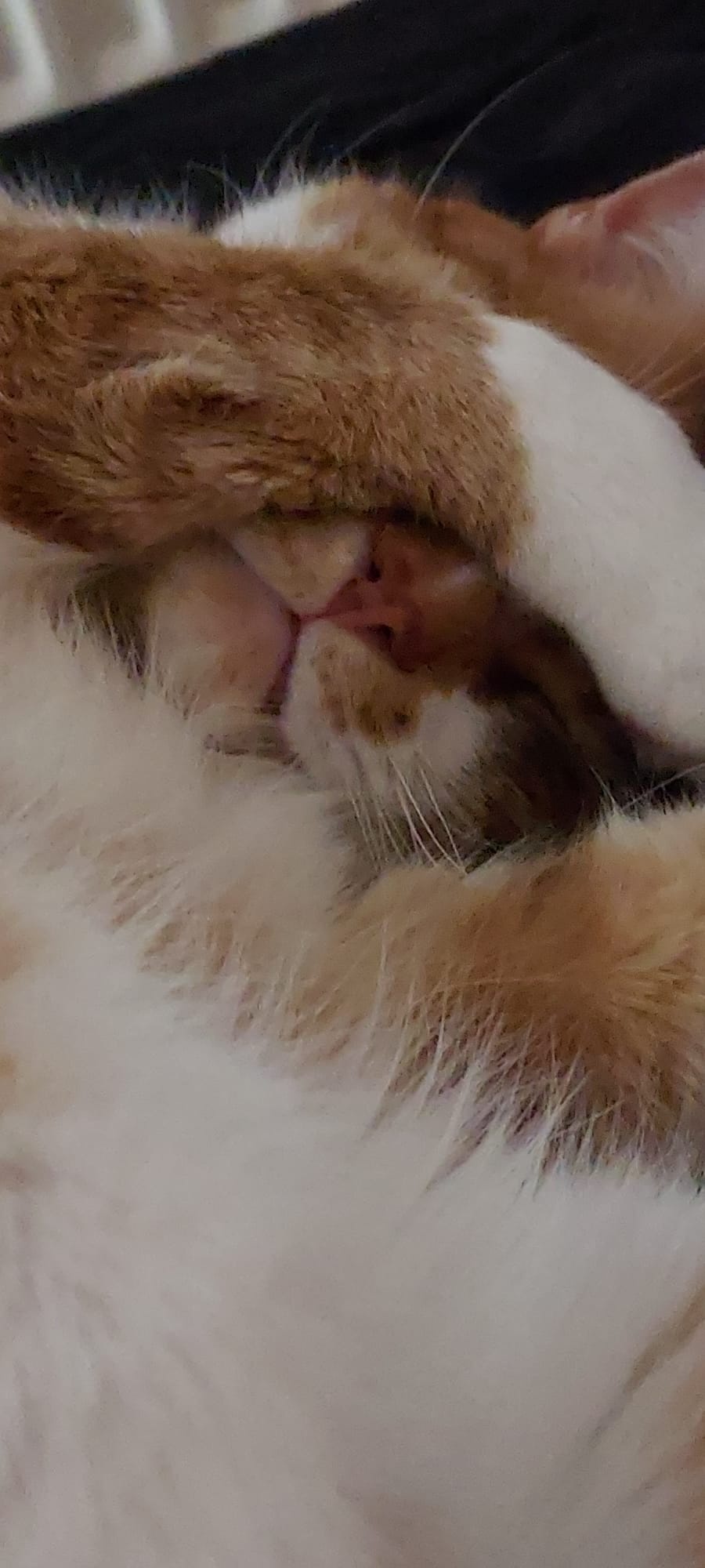 1e62e4f5-a173-479a-a8d4-87a765fbbc90