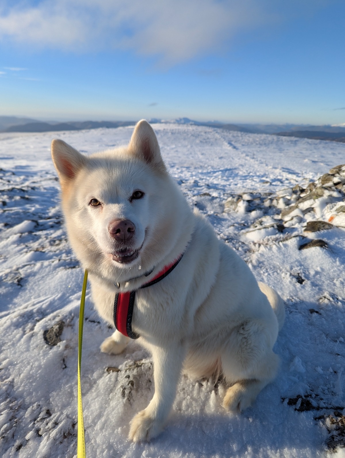 3003db1c-236a-40d5-8cc3-021c65f54f55