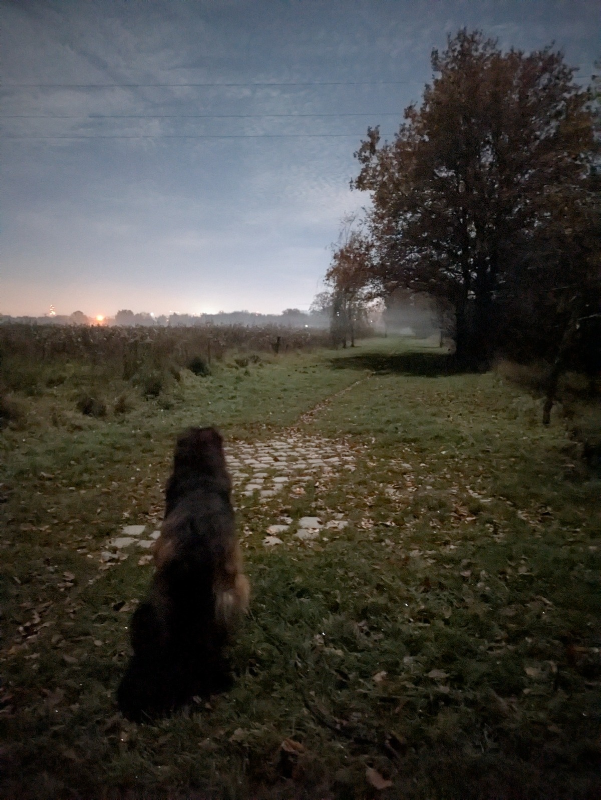 1f2a38b1-13d6-495c-9dc1-7f486e2bf23b